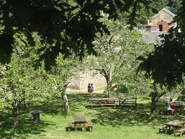 Fort-St-Pere-sous-les-cerisiers.jpg