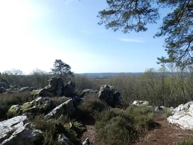 Chaos-granitique-Butte-de-Frochet.JPG