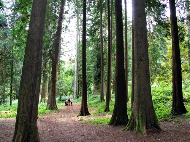 LA-JONCHERE-Arboretum-SIT-3----CBC-2.jpg