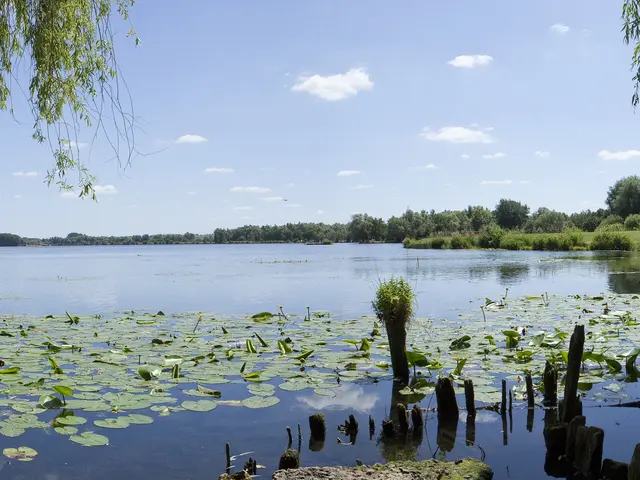 1483407_pedalo_chabaud_latour_condejpg.jpg