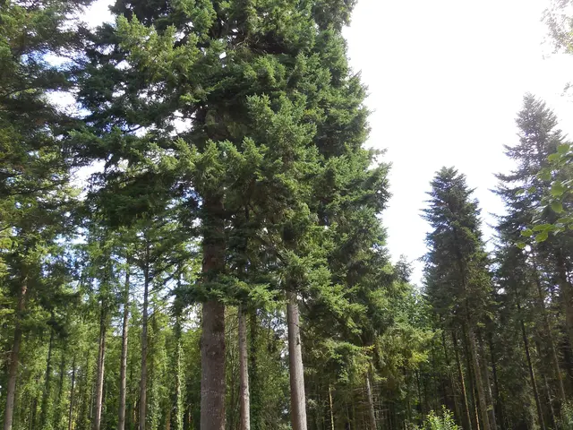 DSCN4494.JPG
