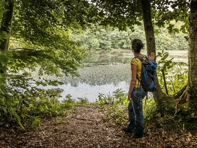 Etang-du-Plessis--Rodolphe-Marics.jpg