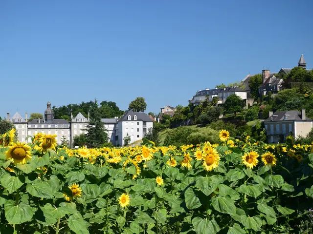 sur-les-remparts.jpg