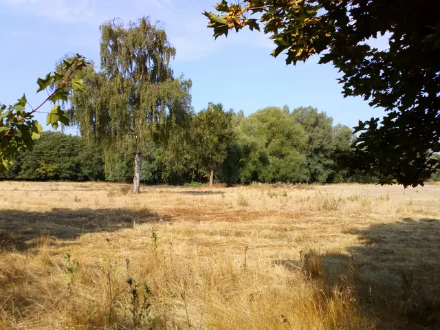3508402_vue_sur_la_campagne_de_fresnesjpg.jpg