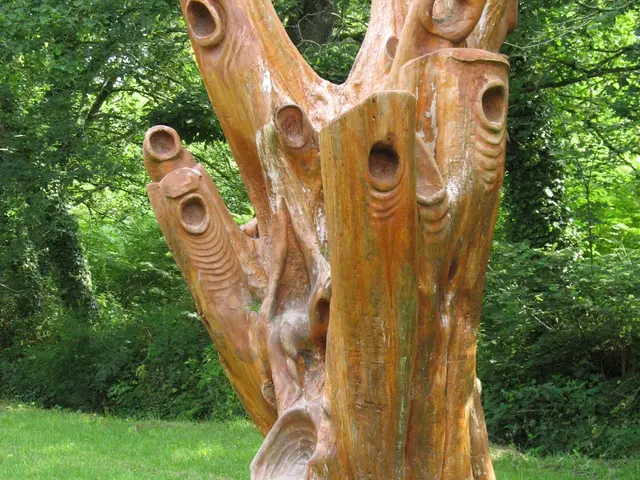 cavan-vallee-des-arts.JPG