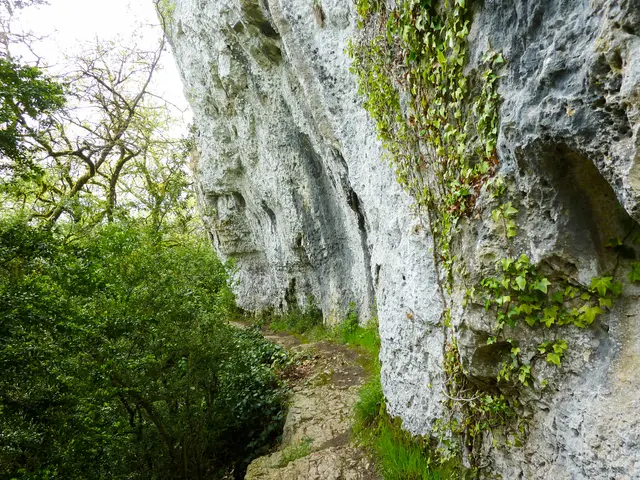 Roc-des-monges---Sentier-a-flanc-de-falaise---Lot-Tourisme---C.-Sanchez.jpg