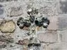SAINT-LAURENT-LES-EGLISES-Croix-sirtaki--CBC--1--2-2.jpg