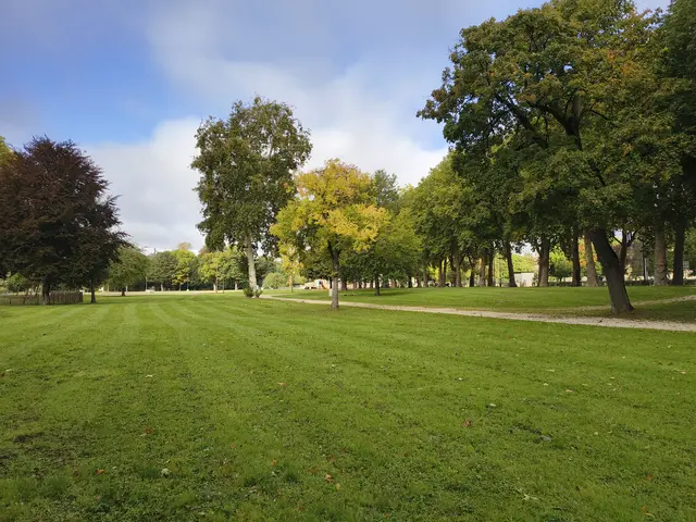 parc-jard-saint-dizier.jpg