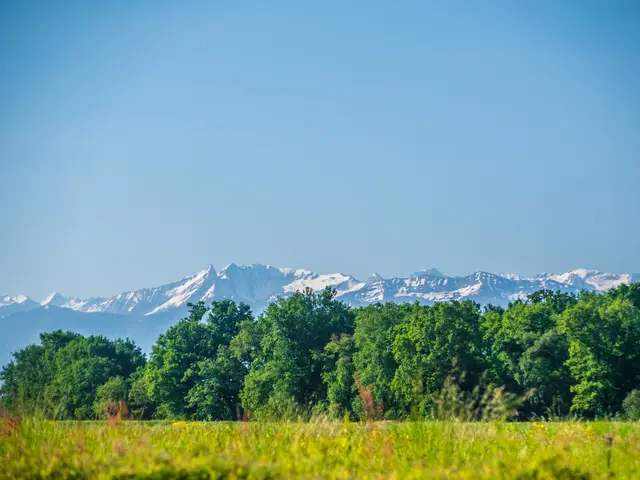 11052018-DSC-7607.jpg