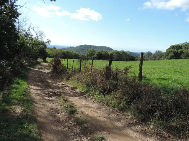 A l'horizon l'Auvergne.JPG