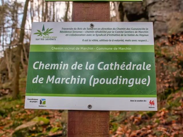 Panneau forestier web (c) Houbart 2024.jpg