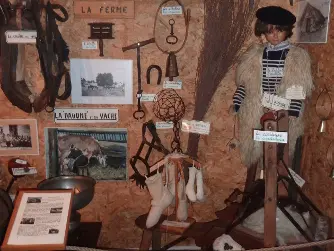 le-bergerTS.JPG