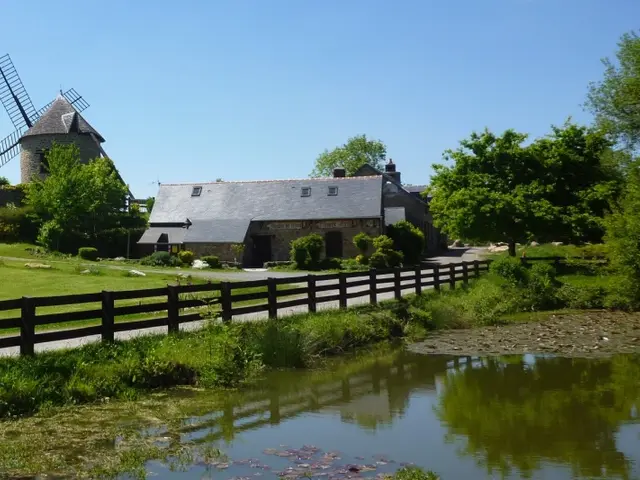 P1030347---Copie.JPG