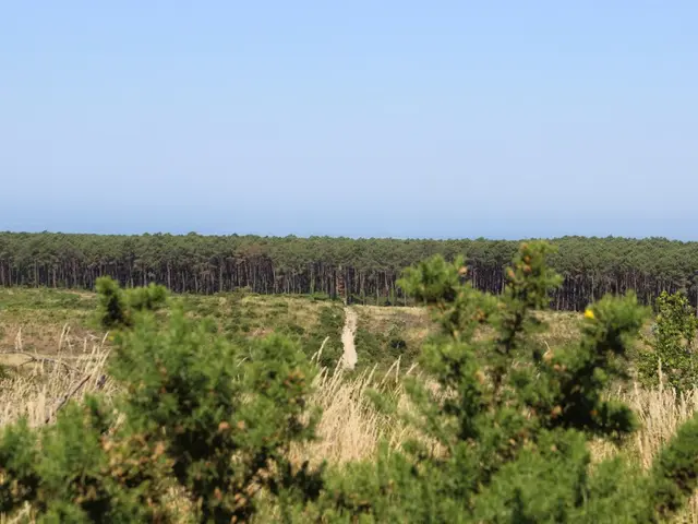 IMG-1955-2.JPG