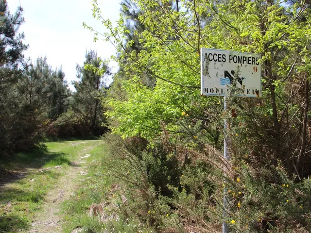 Acces-Pompier-DFCI.JPG