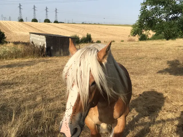 3465920_img_3744jpg.jpg