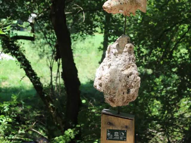 1_Vers_la truite filante.jpg