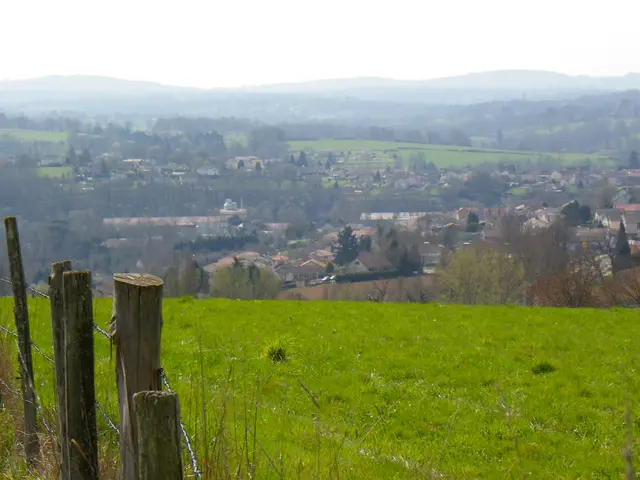 IMGP0806.JPG
