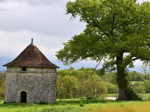 Pigeonnier-2-2.jpg
