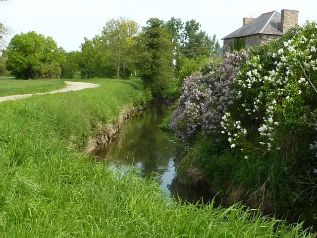 P1130184---Copie.JPG