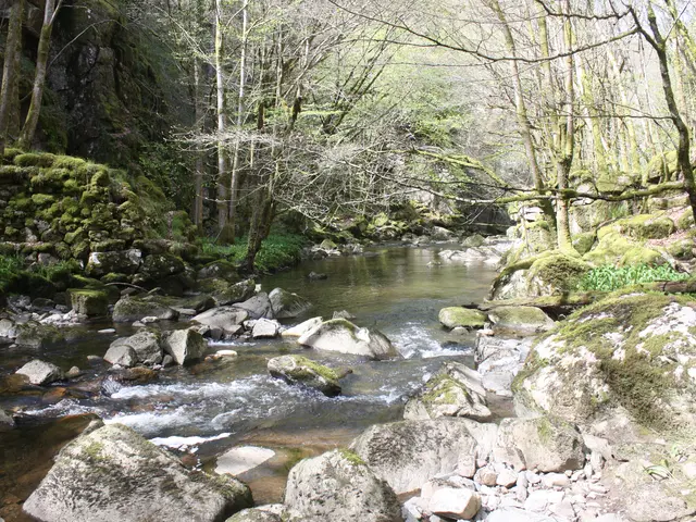 PILE DE PONT 01 PR.JPG