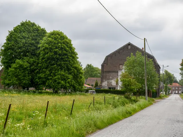 6256152_sans_titre-1761jpg.jpg