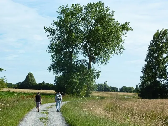 -SMBMSM-Marais-blanc.JPG