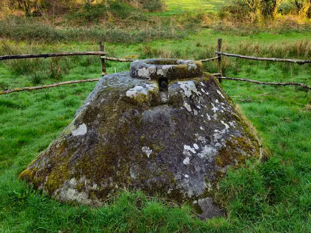 Boisseau-des-dimes-28---Sirtaqui-4.jpg