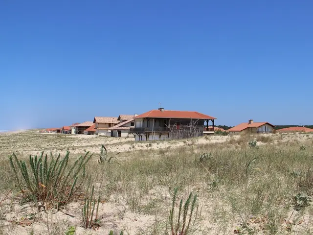 Fixation-de-la-dune-2.JPG