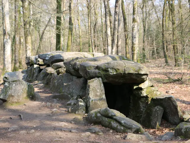 Allee-couverte-Foret-du-Mesnil---Le-Tronchet-SMBMSM-8294.JPG