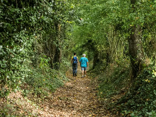 -R-Marics---Chemin-creux-Tremeheuc.jpg