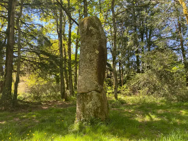 javerdat-2025-otpol-menhir-du-pic--2-.JPG