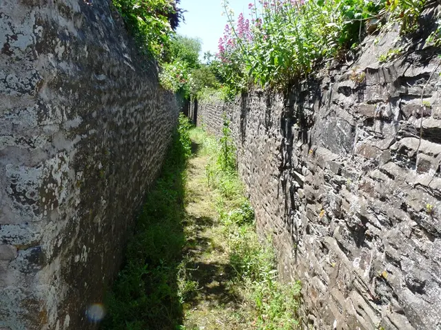 Passage-Bas-Celliers-PAmiot.jpg
