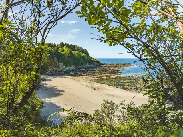 223-Cote-de-Granit-Rose-2019-HD.jpg