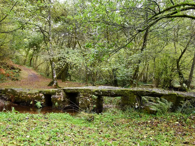 SAINT-LEGER-LA-MONTAGNE-Pont-romain---Meriguetsit.jpg