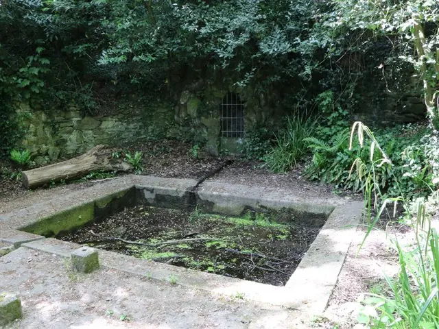 Lavoir-et-fontaine-de-Clarisse---Saint-Jouan-des-Guerets-SMBMSM-3190-1200px.JPG