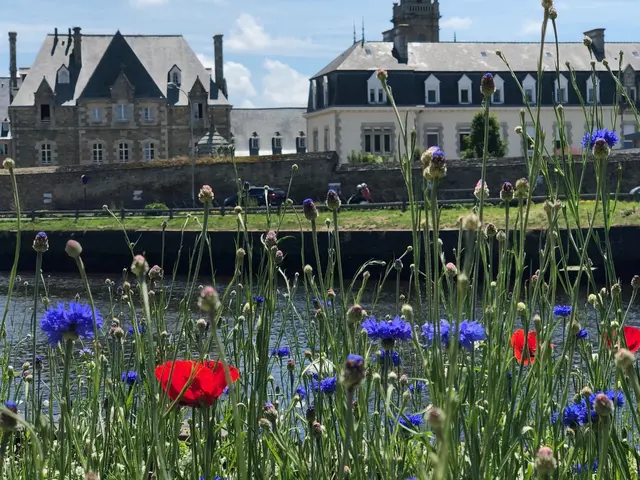 Sainte-Anne-Lannion.jpg