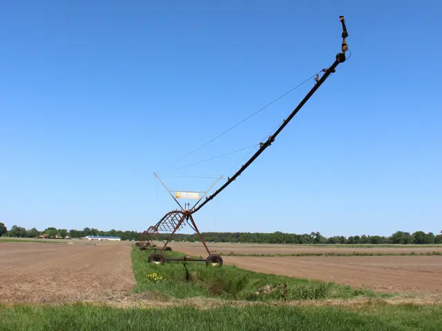 La-Plaine-du-Sable-Blanc-V2-2.JPG