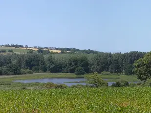 Velo-promenade-Marais-du-Couesnon-MaraisLaFolie--c-Michel-COLLIN.jpg