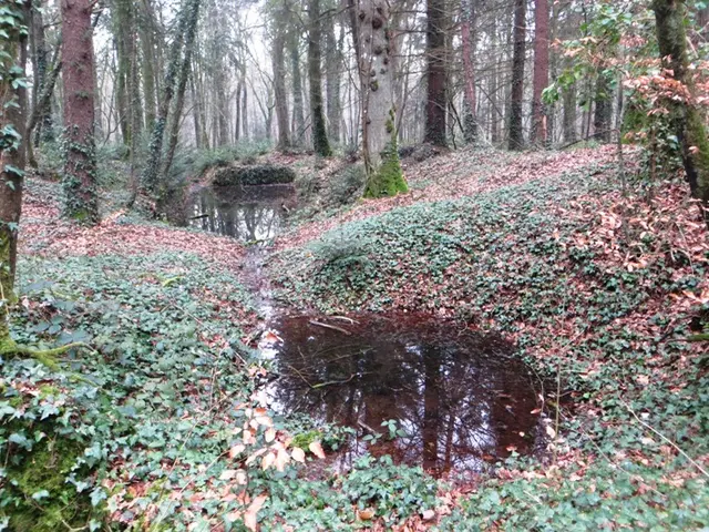 -SMBMSM-Ancien-bassin-de-rouissage-Le-Tronchet.jpg