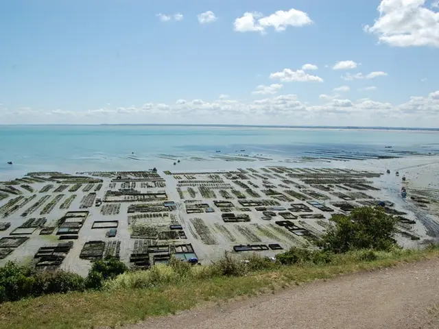 -SMBMSM---Vue-sur-les-parcs-ostreicoles-a-Cancale.jpg