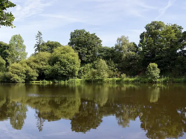 Etang-du-Poulloguer-Alex-Kozel--1-.jpg
