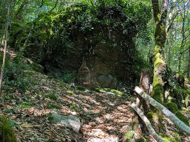 Sentier-de-Bois-Jeansac-Abris-sous-roche-2-2.jpg