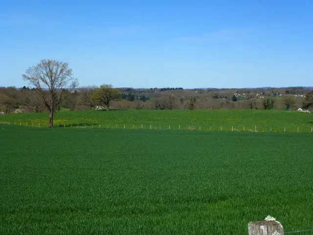 vue-campagne-Aureil-2.jpeg