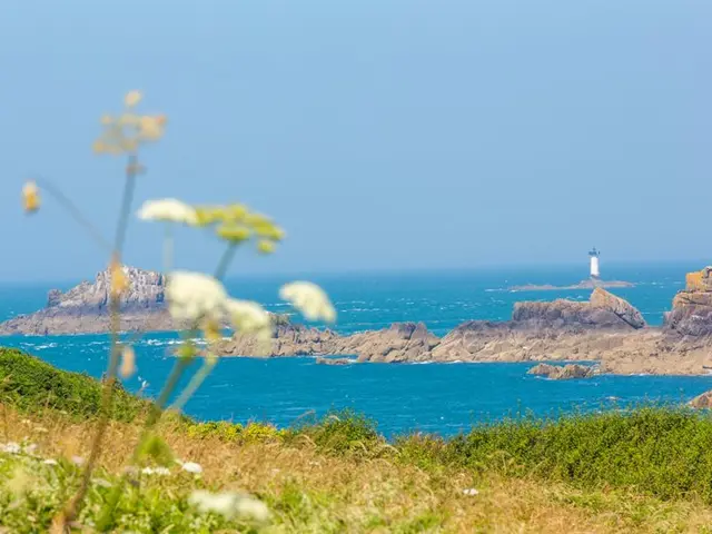 Ile-des-Landes---Cancale-Simon-Bourcier-7858.JPG