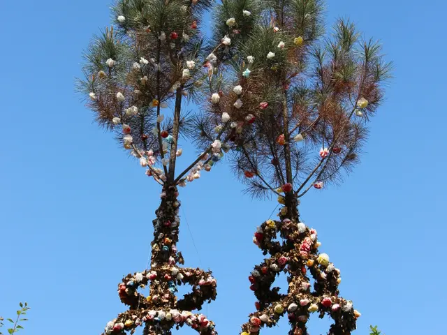 arbres-de-mai-V2.JPG