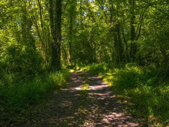20062018-DSC-9704.jpg