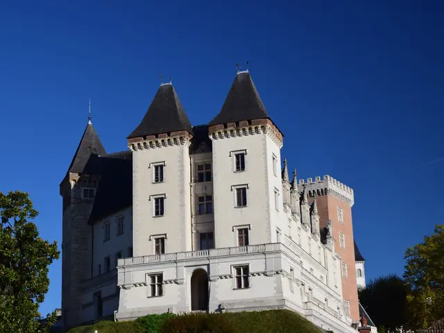 chateau-de-pau--3-.jpg