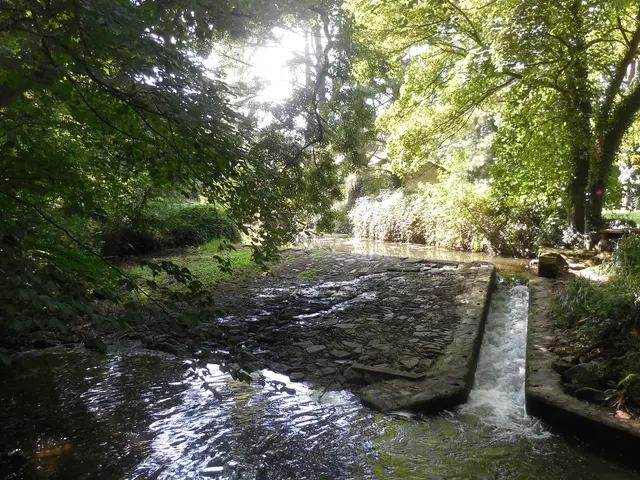 DSCN3260.JPG