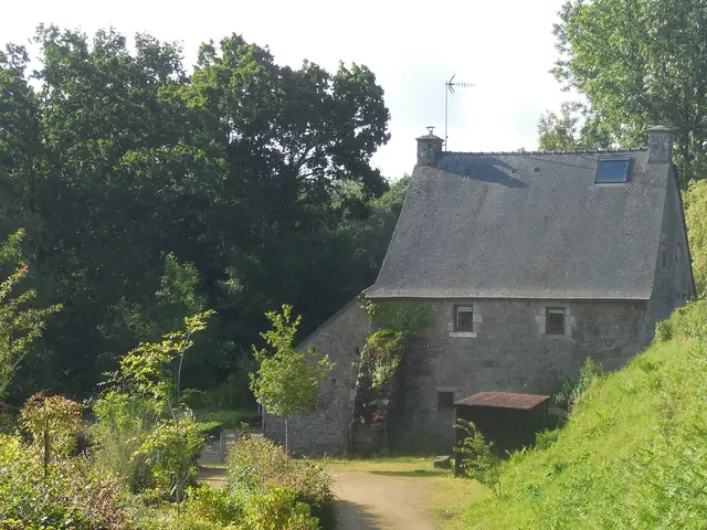 moulin-9.jpg